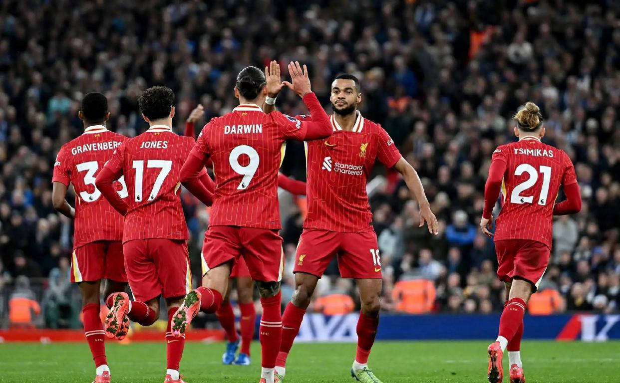 开云体育在线-里昂败于利物浦，欧冠之路梦断的简单介绍