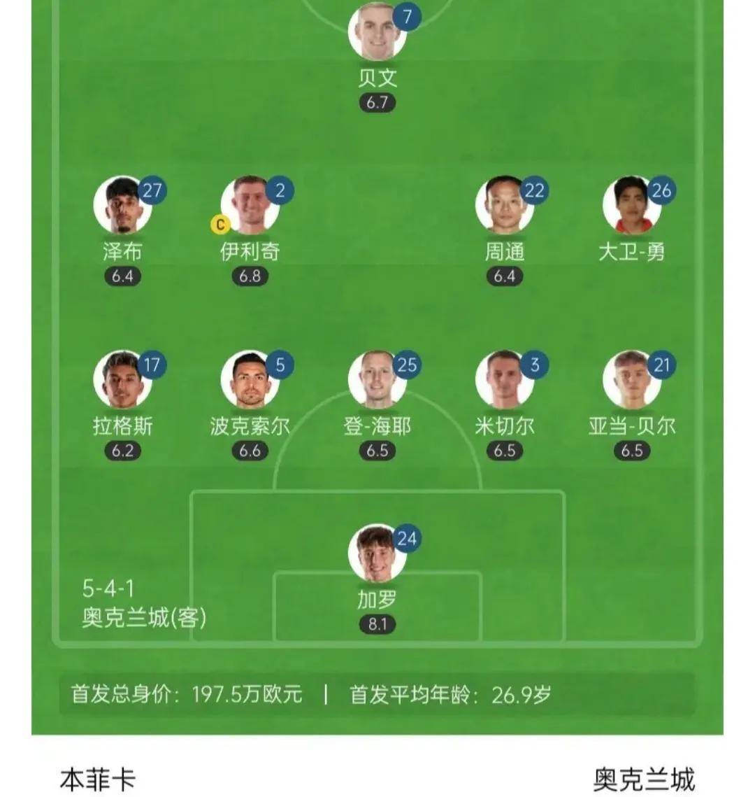 开云体育在线-关于国内足球职业联赛球员伤病情况与恢复过程的信息